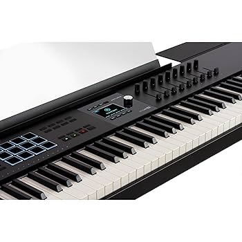 Amazon.com: Arturia KeyLab 88 mk3 88-key Weighted Hammer